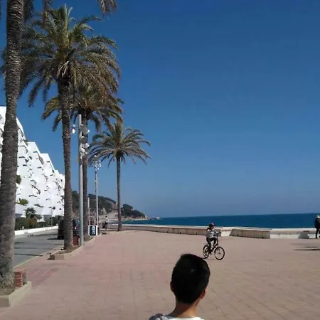 Homeholidaysrentals Evasion *